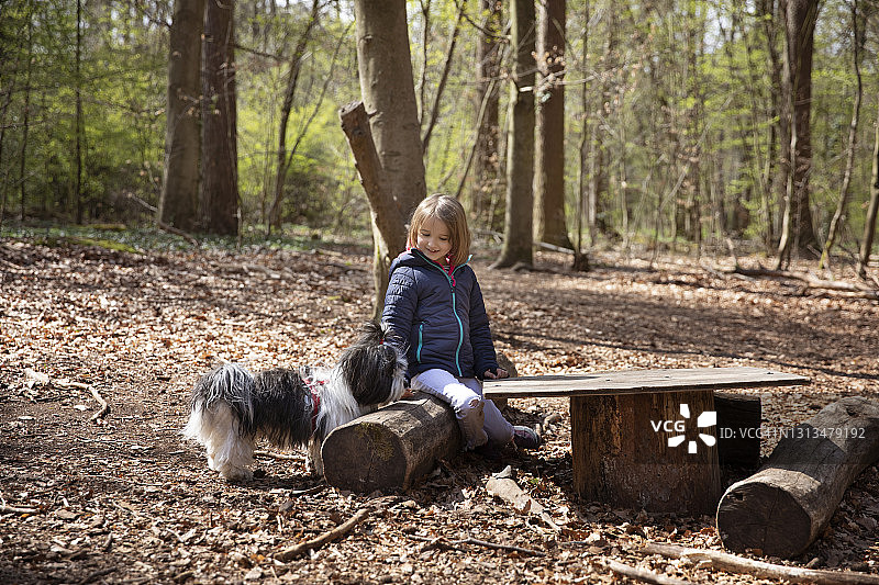 女孩(8-9岁)坐在原木旁边的一张简单的桌子在春天的林地，鼓励宠物狗与她坐在一起图片素材