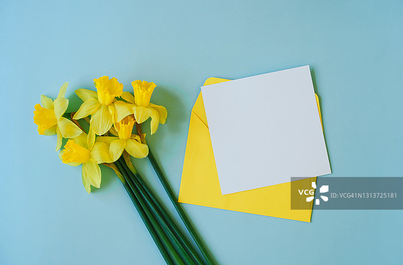 一束春天的黄色水仙花和黄色纸信封与空白卡片在柔和的蓝色背景图片素材
