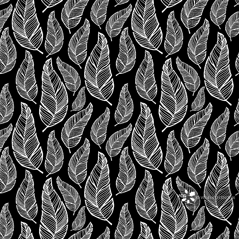 无缝图案手绘热带植物、叶、叶。在涂鸦风格，黑白颜色图片素材