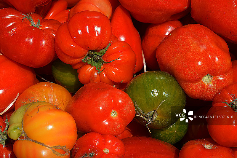 西红柿法国市场图片素材