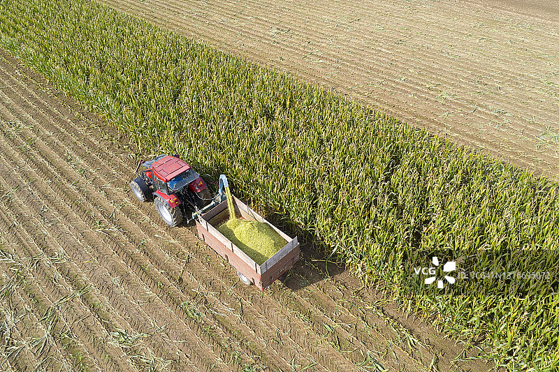 用收割机收割玉米，鸟瞰图图片素材