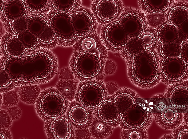 微观病毒模拟三维渲染图图片素材