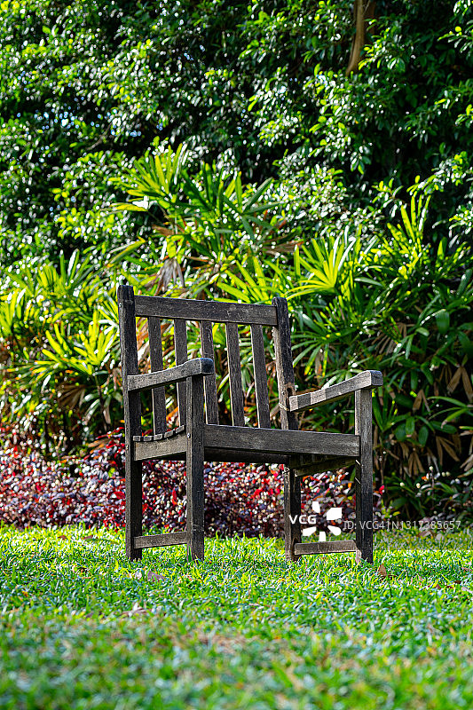 在美丽的花园背景草草坪上的孤立的木制椅子图片素材