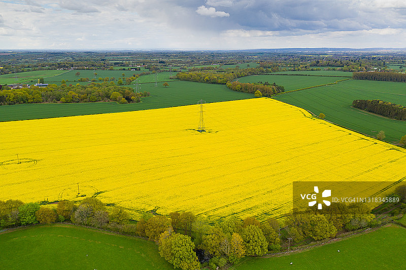英国，油菜田，从空中看中心有一个电塔图片素材