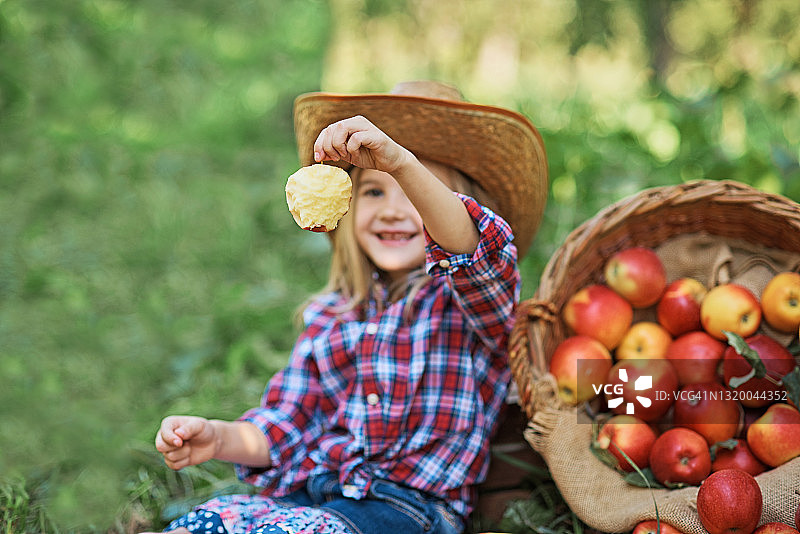 苹果园里的苹果女孩。美丽的女孩在果园里吃有机苹果。收获的概念。花园，幼童吃水果在秋天收获。摘苹果图片素材