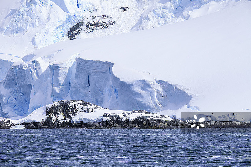 南极洲海岸与蓝色眼睛的鸬鹚在背景中飞翔图片素材