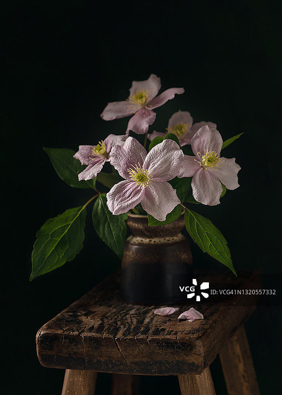 静物与美丽的花束白色和粉红色铁线莲花在乡村陶瓷花瓶。图片素材