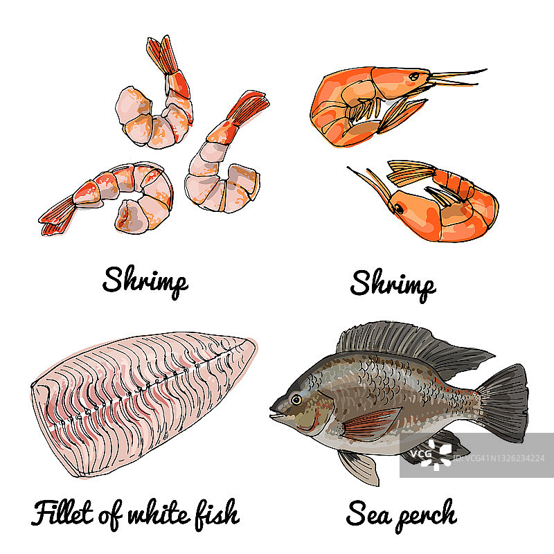 海洋食品。食物矢量图。红白相间的鱼，罗非鱼，虾图片素材