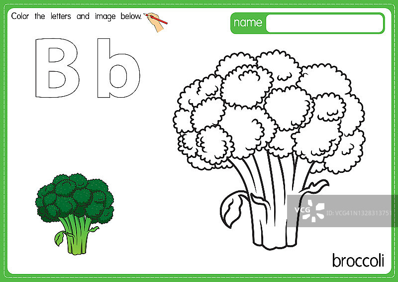矢量插图的儿童字母着色书页与概述剪贴画，以颜色。字母B代表花椰菜。图片素材