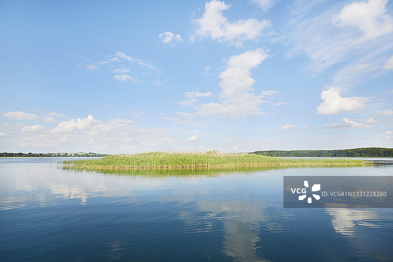 芦苇丛生的田园诗般的湖泊，蓝天白云倒映在平静的水面上图片素材