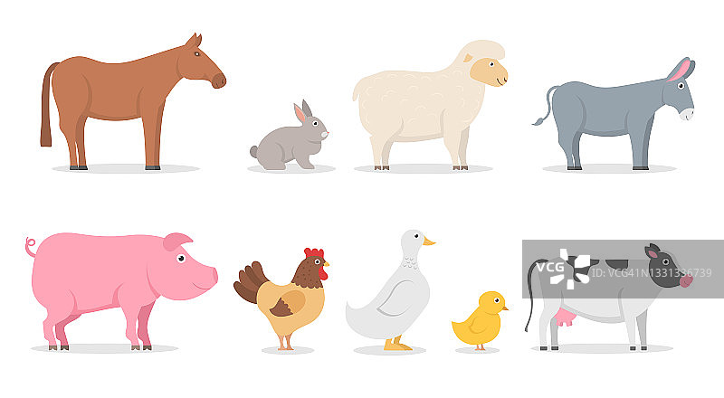 一套可爱的卡通人物，农场动物。图片素材