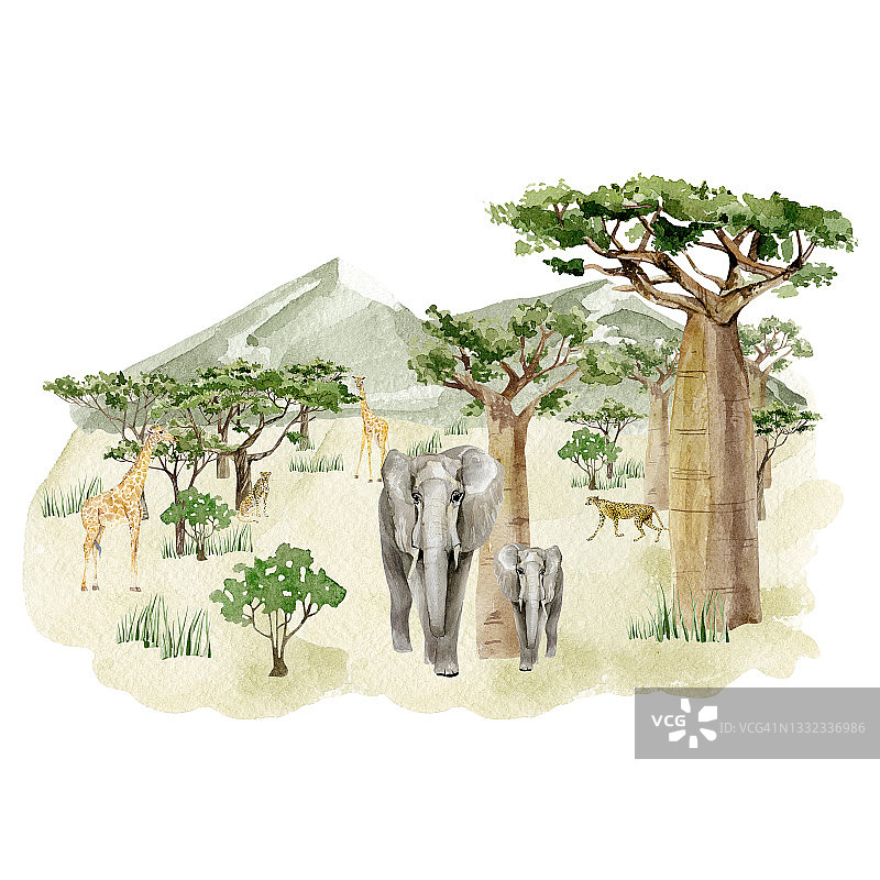 水彩草原野生动物插图。非洲的景观由树木、大象、长颈鹿、豹子和绿色的山组成。墙艺术打印。幼儿园的宝宝装饰图片素材