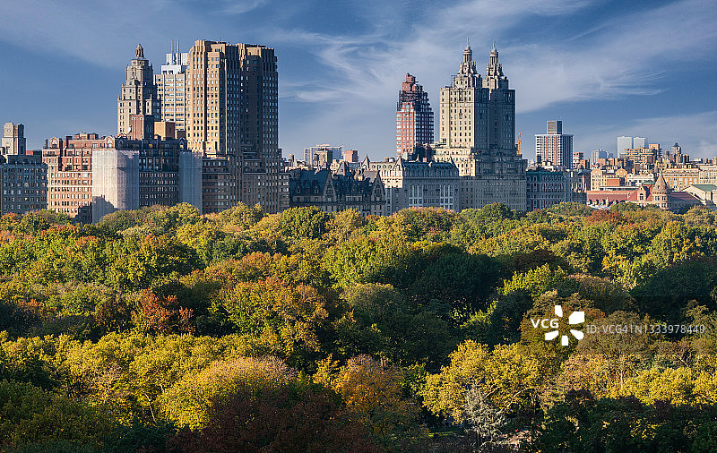 纽约中央公园秋天的树梢图片素材