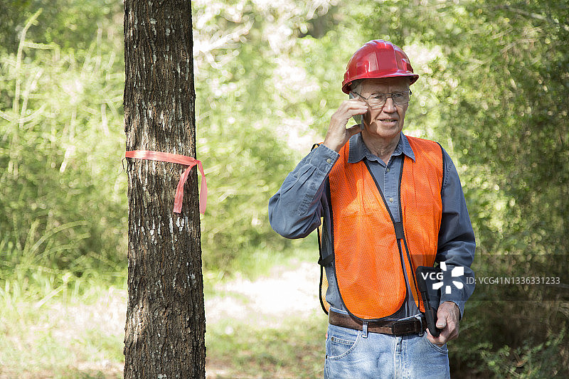 施工经理正在标记要砍伐的树木。他随身携带一台电子平板电脑，穿着安全背心，戴着安全帽。图片素材