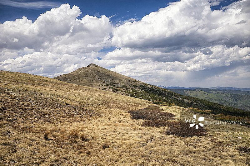 科罗拉多州埃文斯山荒野的景观图片素材