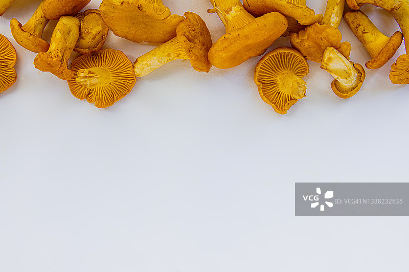素食鸡油菌蘑菇在白色背景与复制空间图片素材