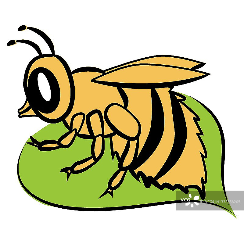 黄色的蜜蜂坐在一片叶子上图片素材