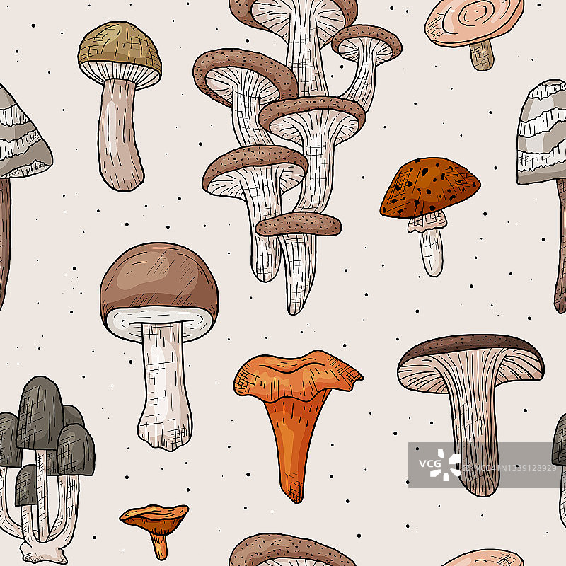 无缝图案与森林食用和有毒蘑菇。轮廓风格的秋季贴纸。图片素材