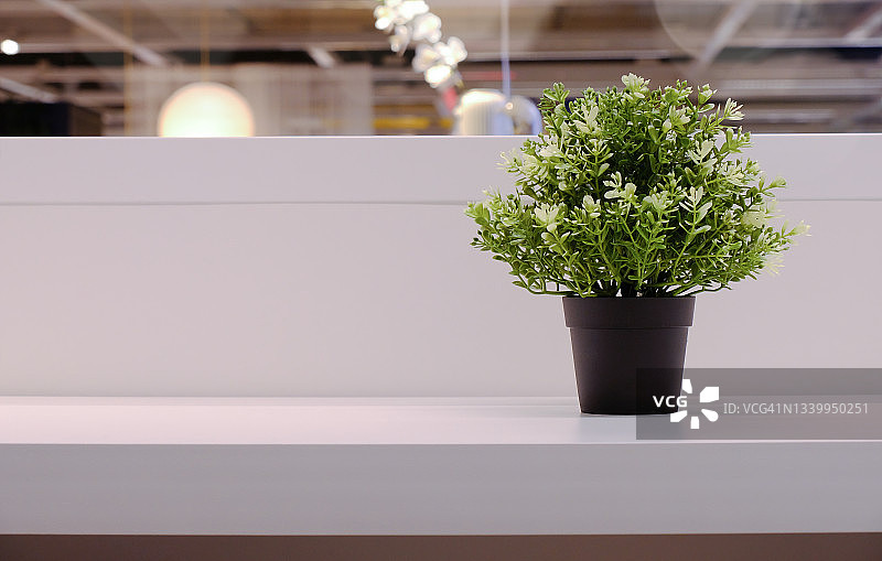 假绿色盆栽植物(远离中心)在架子上对白色背景隔断，品牌模拟。用于办公、学习、文具零售店铺的模板场景;商品展示;空白模型图片素材