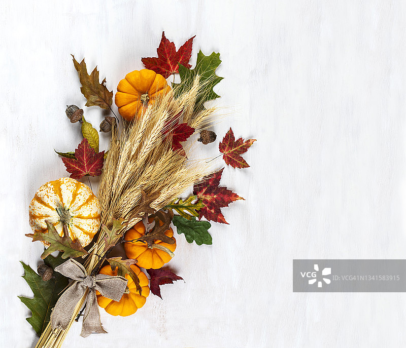 用南瓜，小麦叶和穗装饰的节日秋天。图片素材