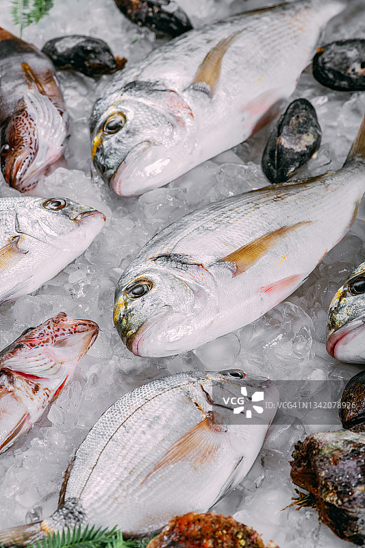 鲜鱼和海鲜在冰上图片素材