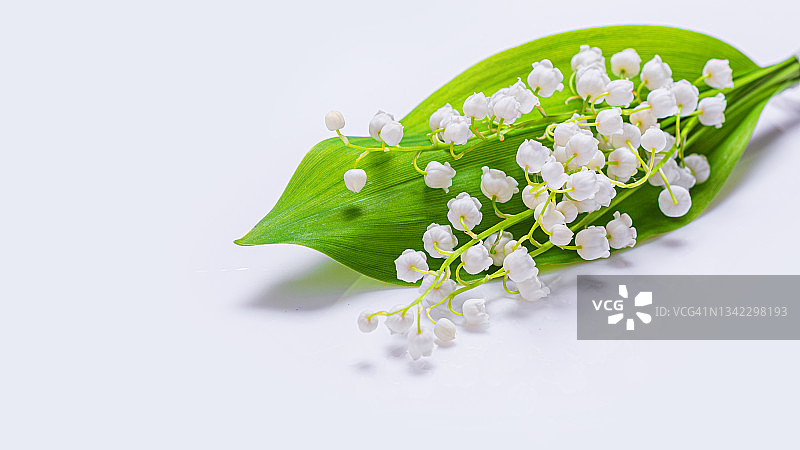 山谷百合的花束，铃兰，孤立在白色背景上图片素材