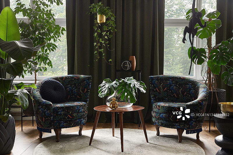 非凡的客厅内部构图，两张精心设计的扶手椅，木制咖啡桌，许多植物和时尚的个人配件。都市丛林的概念。模板。图片素材
