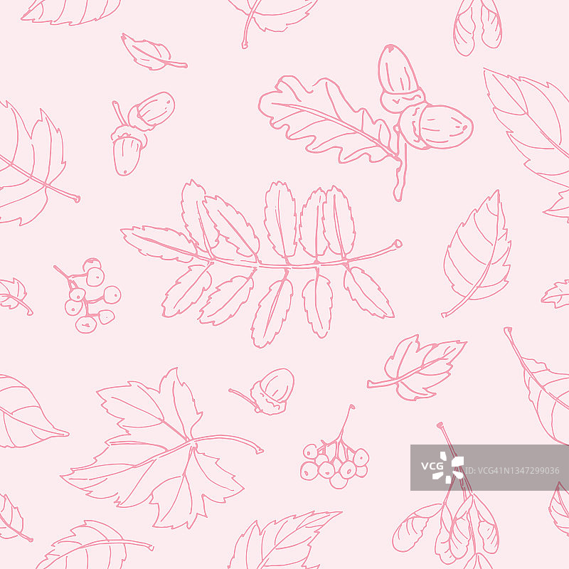 单色轮廓花楸，枫树和橡树的叶子和浆果在粉红色的背景。无缝的矢量模式图片素材