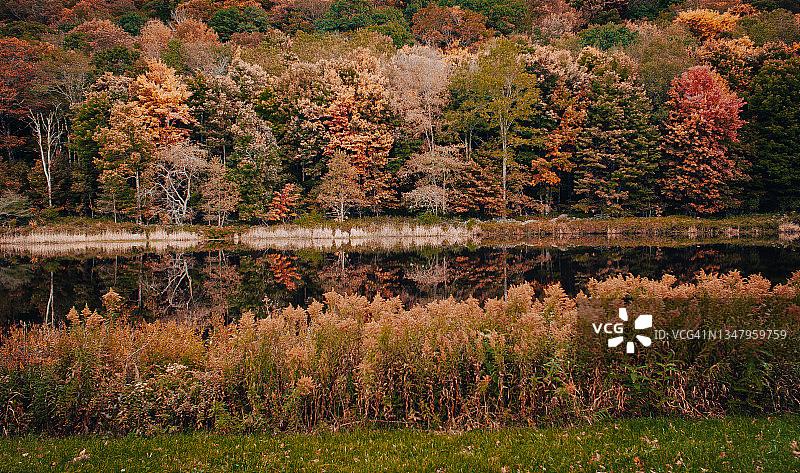 秋天的色彩-美丽的湖泊和森林，随着季节的变化图片素材
