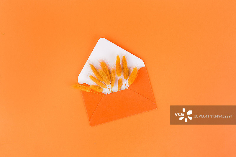 信封和干花，拉格鲁斯，有复制空间，在橙色的桌子上。商业和生活方式博客的时尚模型图片素材