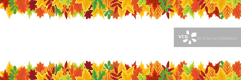 秋天的背景。旗帜上挂着秋天的落叶。在白色背景上有叶子的框架。枫木、花楸木和橡树叶的花环。装修和销售设计模板。向量图片素材