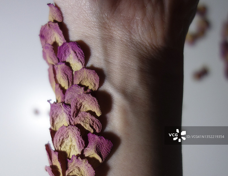 花瓣像鳞片一样排列，覆盖着她的手臂。图片素材