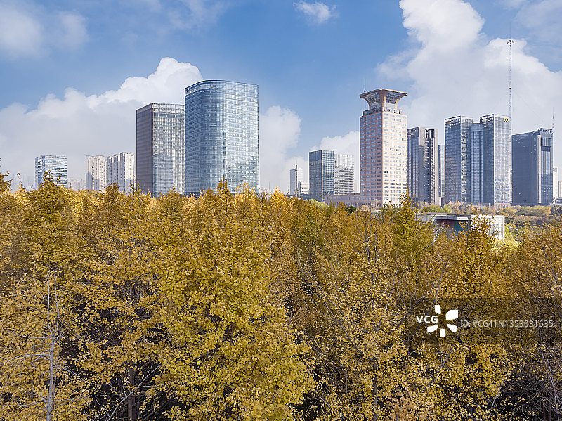 空中摄影高层建筑和银杏林在钱塘江商务区在杭州，中国图片素材