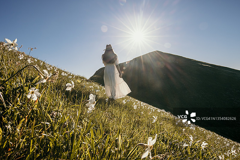 一个年轻的女人走在山顶的花丛中图片素材