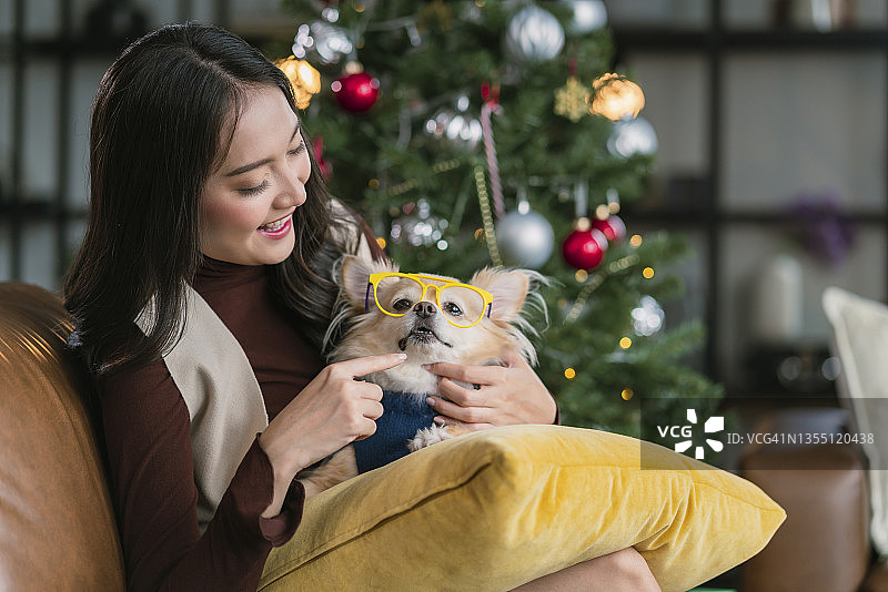 微笑迷人的亚洲女性坐在沙发上拥抱和玩狗，狗主人和吉娃娃lapdop一起在家里度过圣诞节快乐的假期时间图片素材