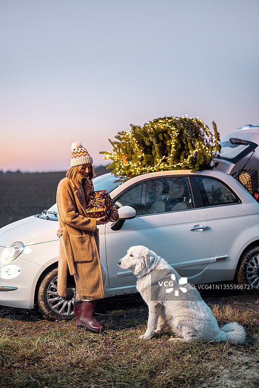 女人带着狗靠近汽车和圣诞树在自然图片素材