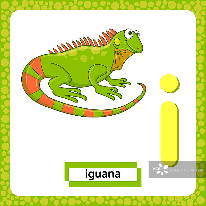 字母我小写可爱的卡通绿鬣蜥蜥蜴孤立在白色背景。有趣的彩色抽认卡动物园和动物ABC字母表。儿童学习英语词汇的教育卡。图片素材