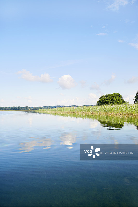 平静的水面映照出田园诗般的湖水，芦苇丛生，蓝天白云图片素材