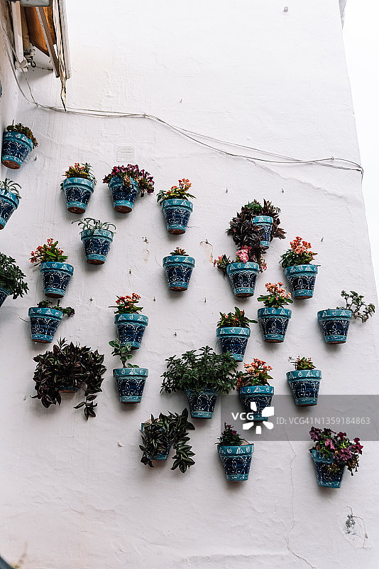 在马拉加的Mijas村，蓝色的花盆挂在白色的墙上。图片素材