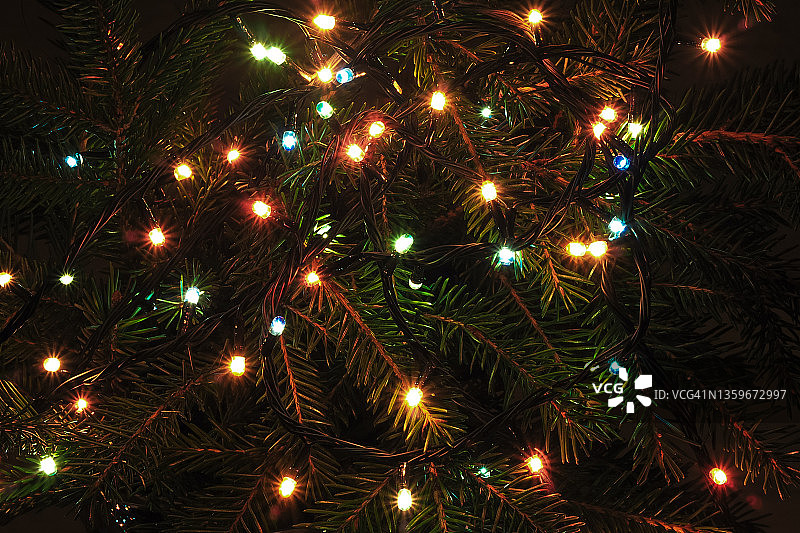 夜晚圣诞树上的彩灯。圣诞节的背景图片素材
