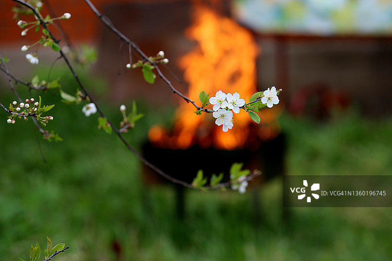 模糊的花园和盛开的苹果树
篝火背景图片素材
