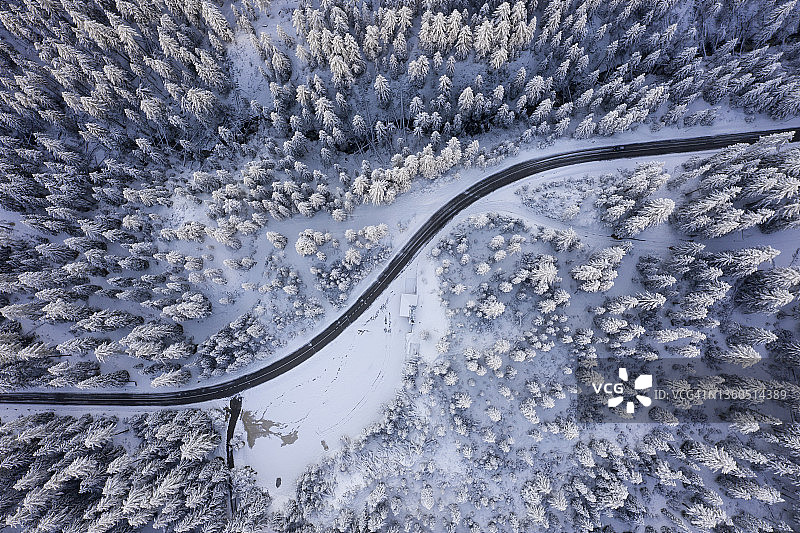 空旷的道路在冬季的森林图片素材