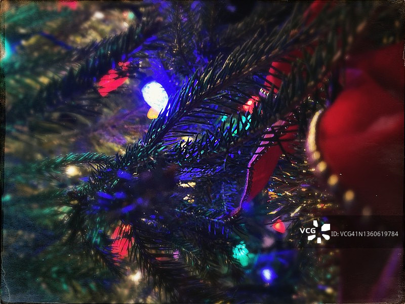 特写-夜晚带灯的圣诞树图片素材