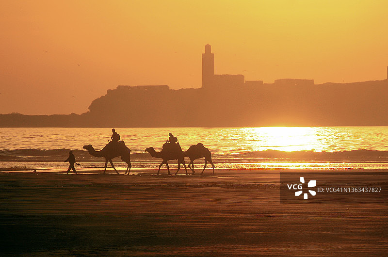 日落时分，摩洛哥Essaouira附近的海滩上行走的骆驼的剪影图片素材