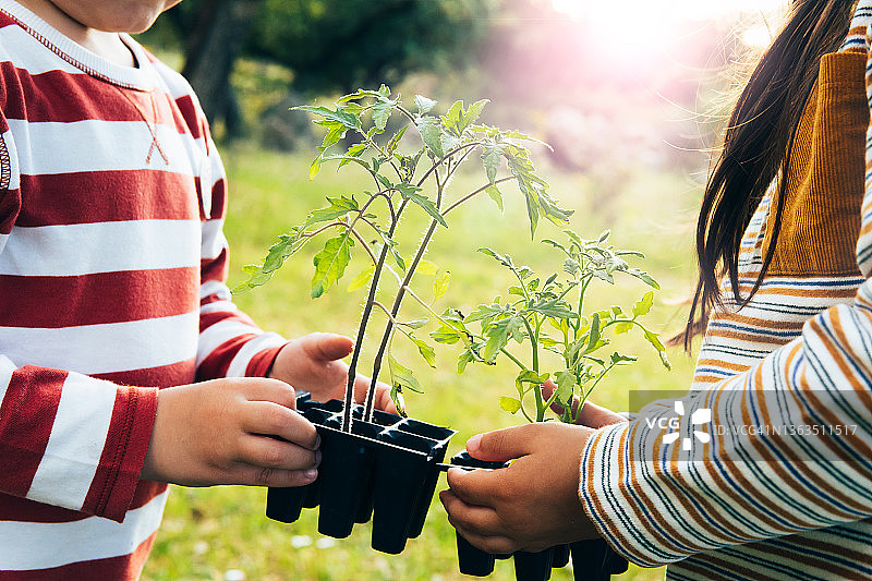 在绿色的自然背景下，孩子们抱着植物。图片素材