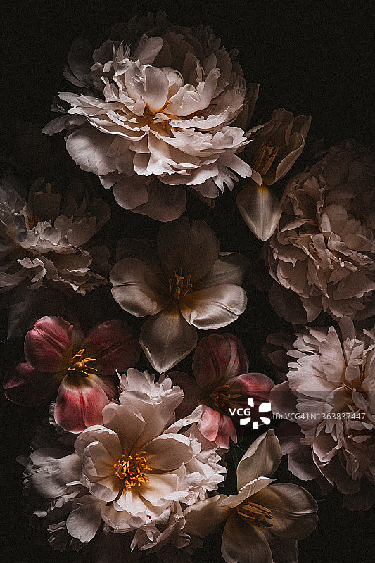 巴洛克风格的花束照片图片素材