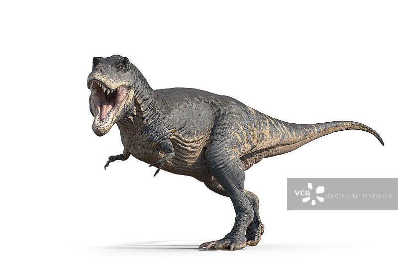 霸王龙恐龙，插图图片素材