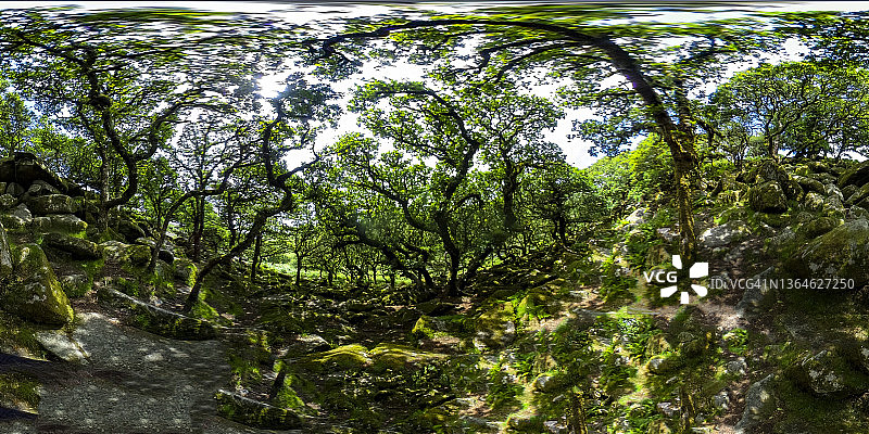 7月一个阳光明媚的日子，在英国北康沃尔，威斯特曼森林的360英尺高图片素材
