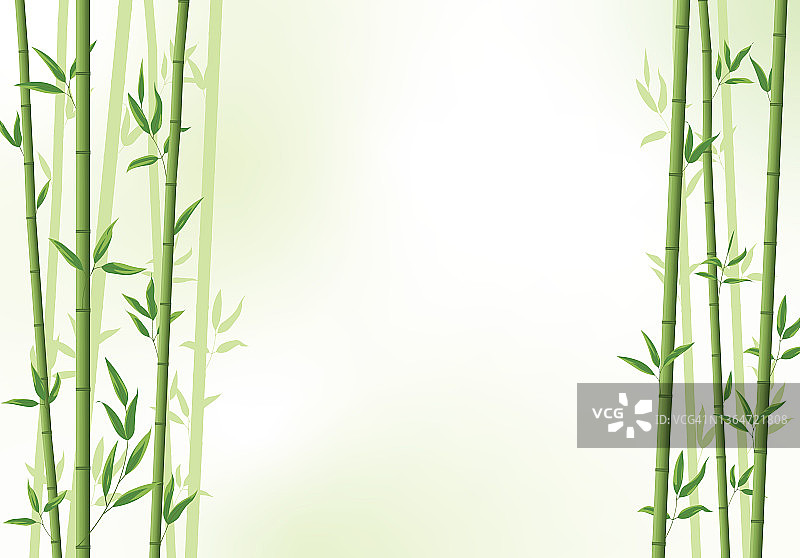 竹林横幅。东亚热带植物背景。图片素材