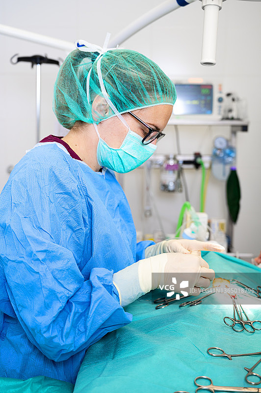 手术操作。手术后外科医生缝合伤口的特写。手术治疗的概念。外科医生用手术工具进行手术。高质量的摄影图片素材